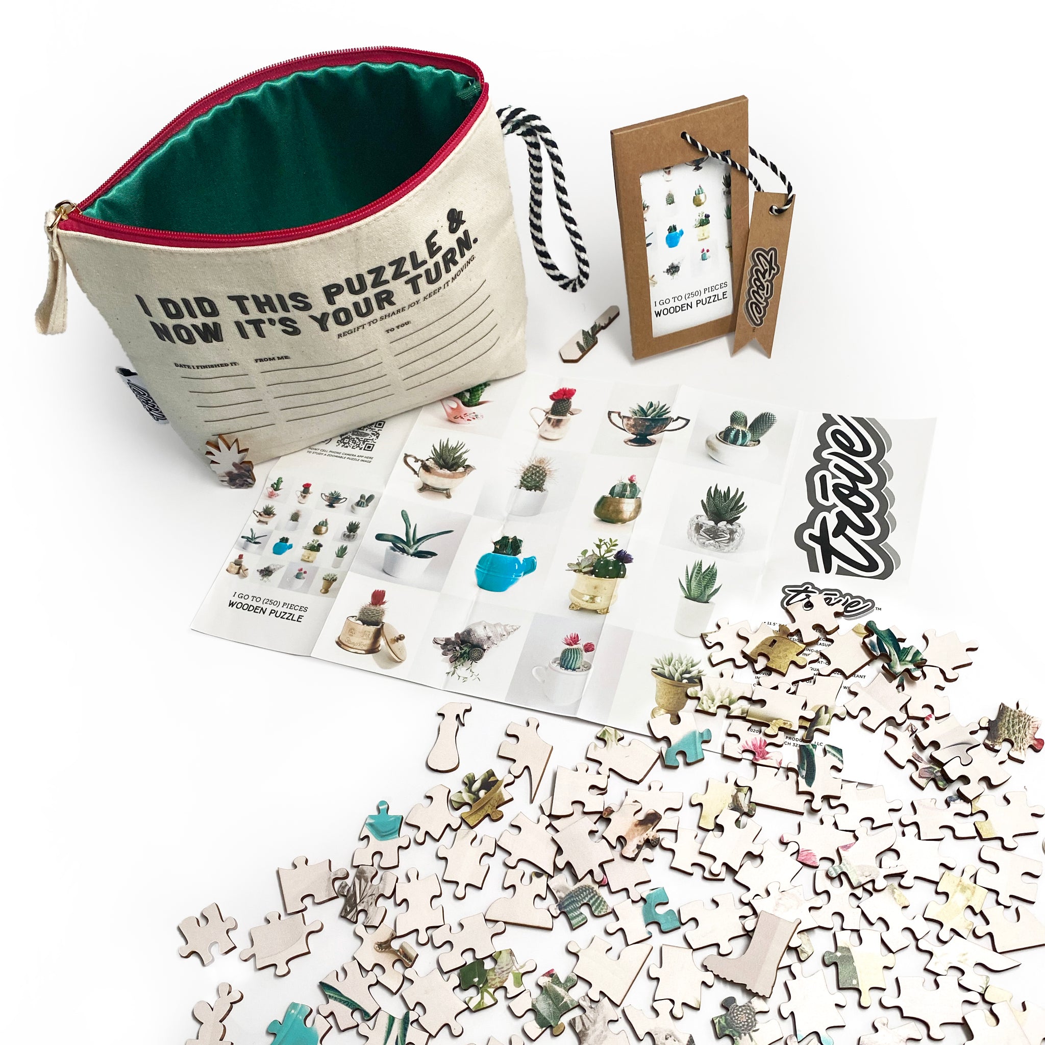 Trove 16 Succulents in Pass-It-On Pouch Exploded View with Pieces Showing