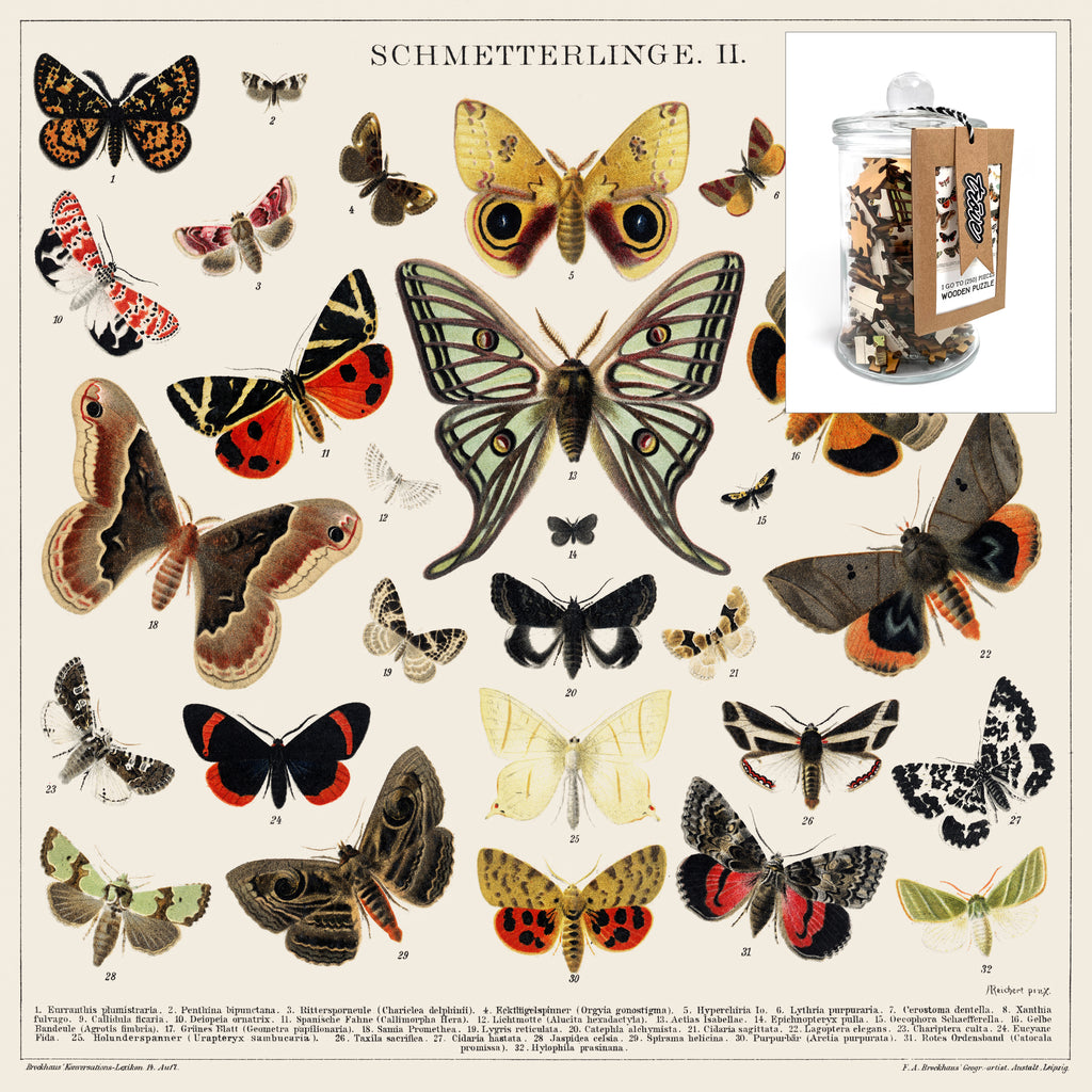 I Go To (250) Pieces Wooden Puzzle: Butterflies + Moths in Glass Apothecary Jar
